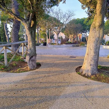 Numanapaceemare *