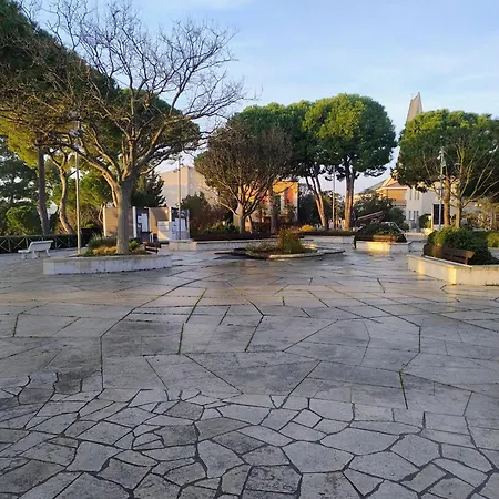 Numanapaceemare Numana