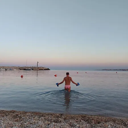 Numanapaceemare * 努马纳