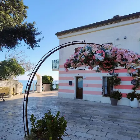 Numanapaceemare Διαμέρισμα