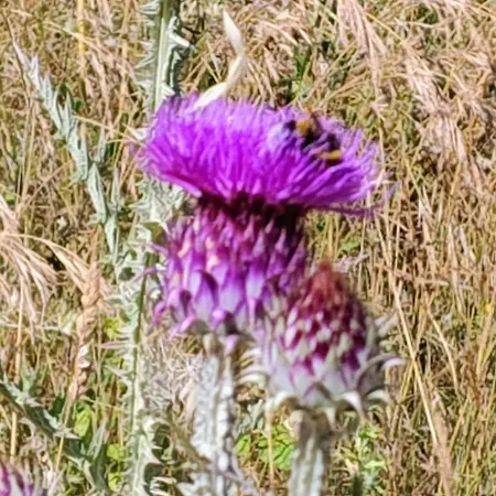 公寓 Numanapaceemare *