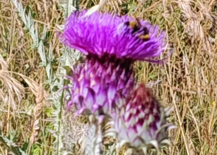 Διαμέρισμα Numanapaceemare *