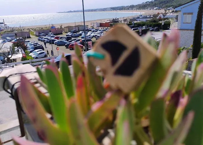 Numanapaceemare * Numana